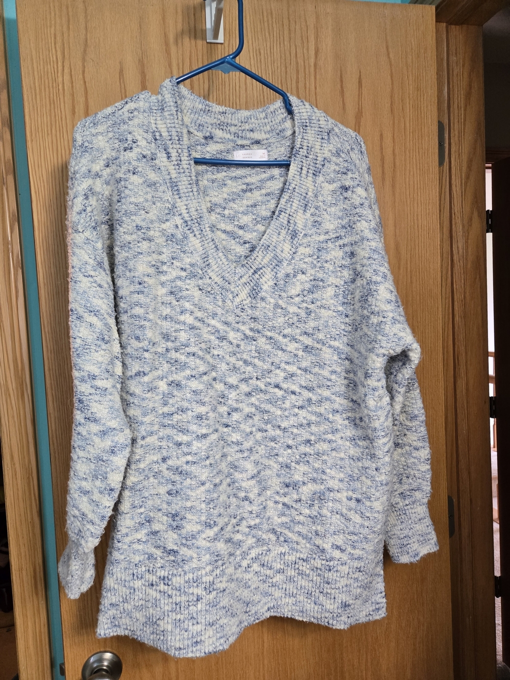 LC Lauren Conrad Blue and White Marled V-Neck Sweater